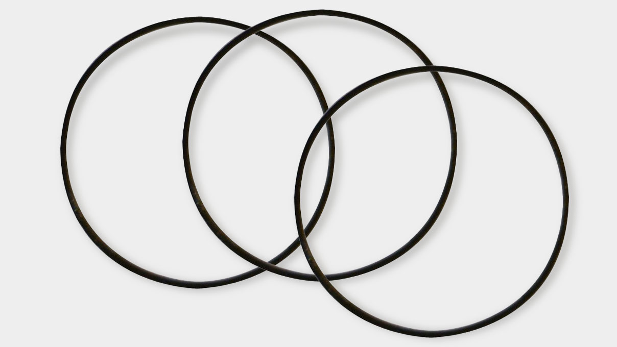 Watch case gaskets