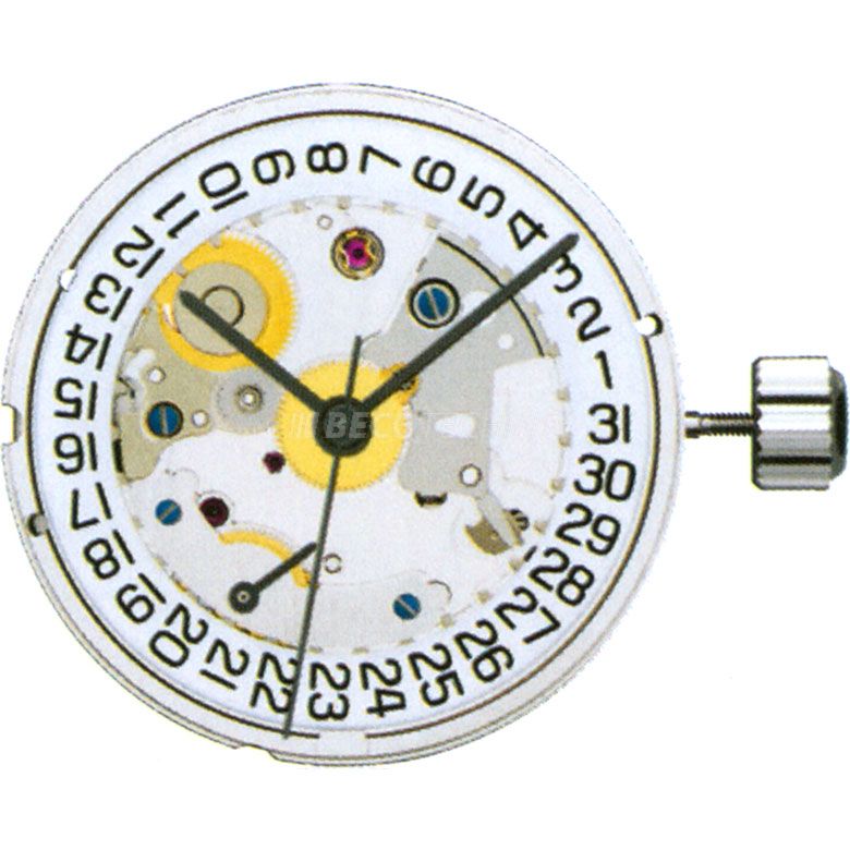 Eta 2897 shop