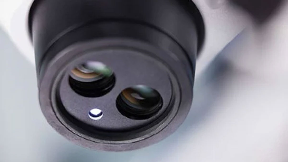 Stereomicroscoop Stemi 305 trino , vergroting 8x tot 40x, C-mount camera-uitgang, compact statief K
MAT, geïntegreerde near-vertical verlichting en segmenteerbare ringverlichting K LED