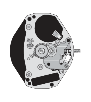 Mvt. ETA 902.505 H1 6 3/4 x 8''' SS Quartz (364 | SR621SW)