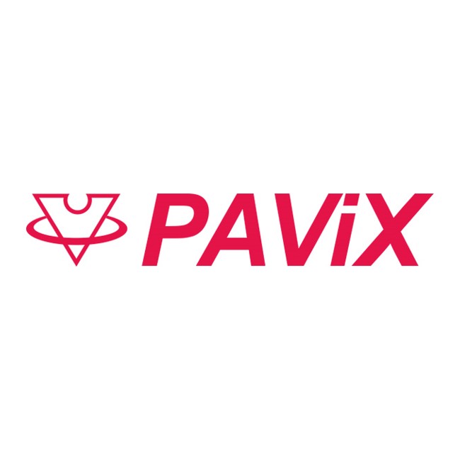 Pavix Polier-Werkzeug für Einsätze aus Stahl, für Pavix Zeigersetzer