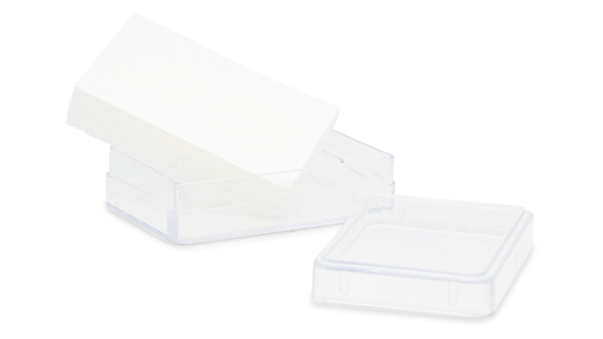 Transparante doos met wit schuim, 80 x 55 x 20 mm
