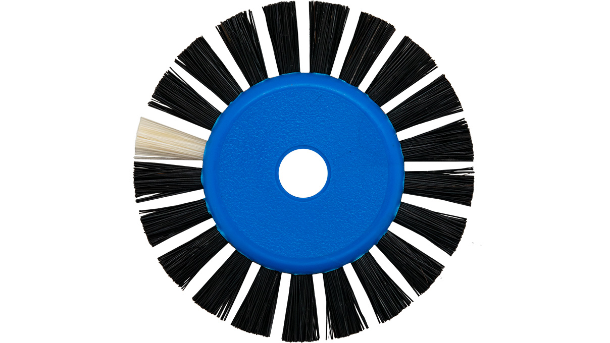Rundbürste, schwarze Chungking Borsten, 1-reihig, flach, Ø 44 mm, mit Kunststoffkern, blau