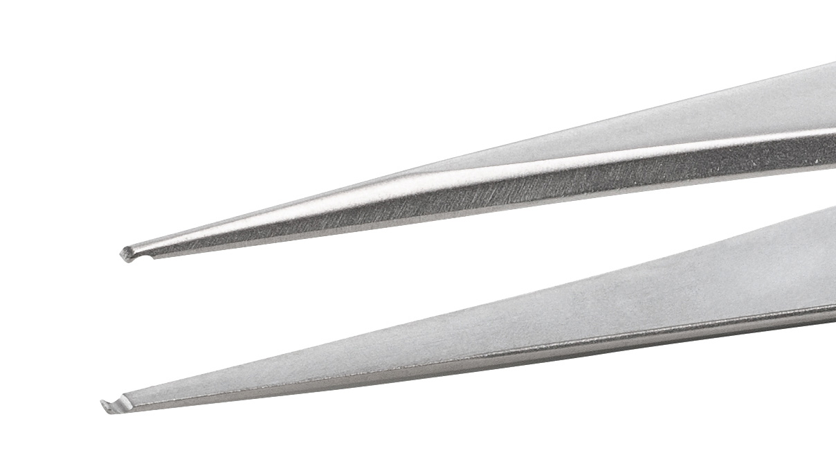 Beco Technic brucelles, Forme SM116, Acier inoxydable, SA, 120 mm