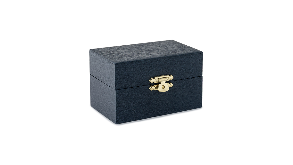 Bergeon 2802-A etui voor poiseerapparaat