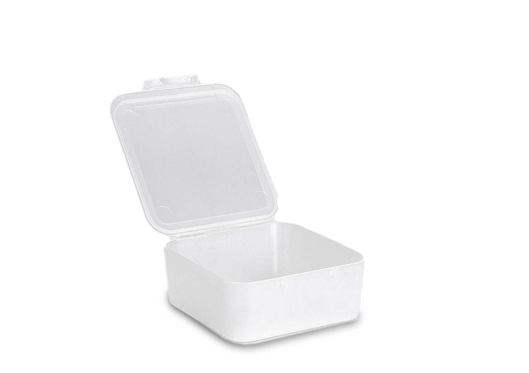 Schutzbox aus durchsichtigem Polypropylen, Scharnierverschluss