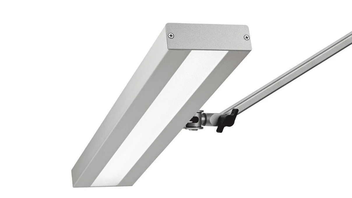Werkpleklamp LED Pro Line, zilvergrijs, 24 W