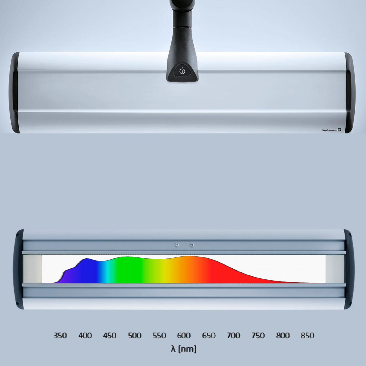 Taneo volledig spectrum LED